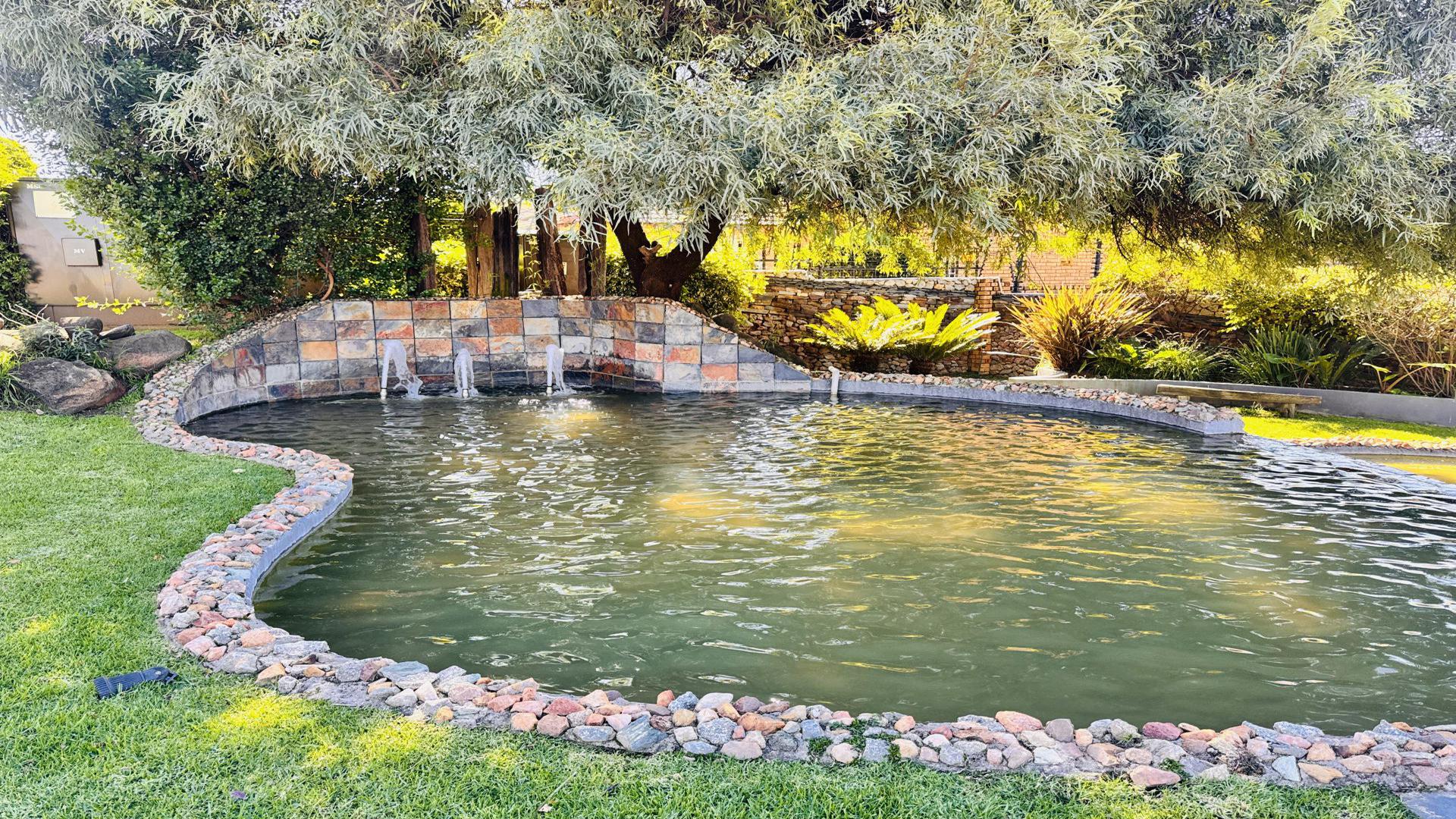 Backyard of property in Willowbrook