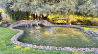 Backyard of property in Willowbrook