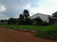 Front View of property in Sundra