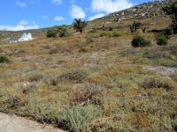  of property in St Helena Bay