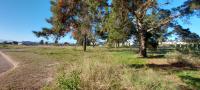  of property in Albertinia