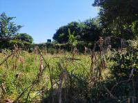  of property in Thohoyandou