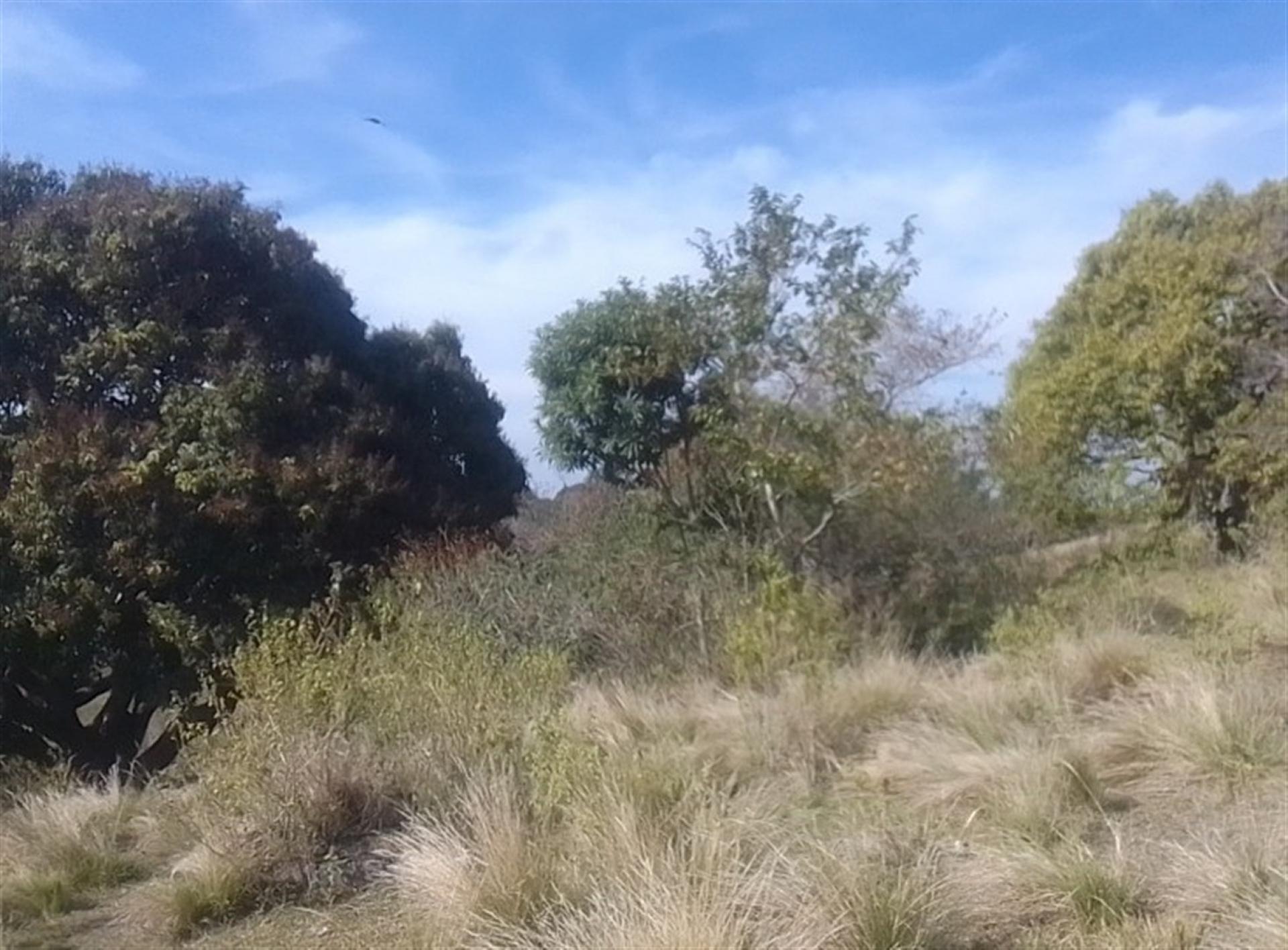 Front View of property in Umkomaas