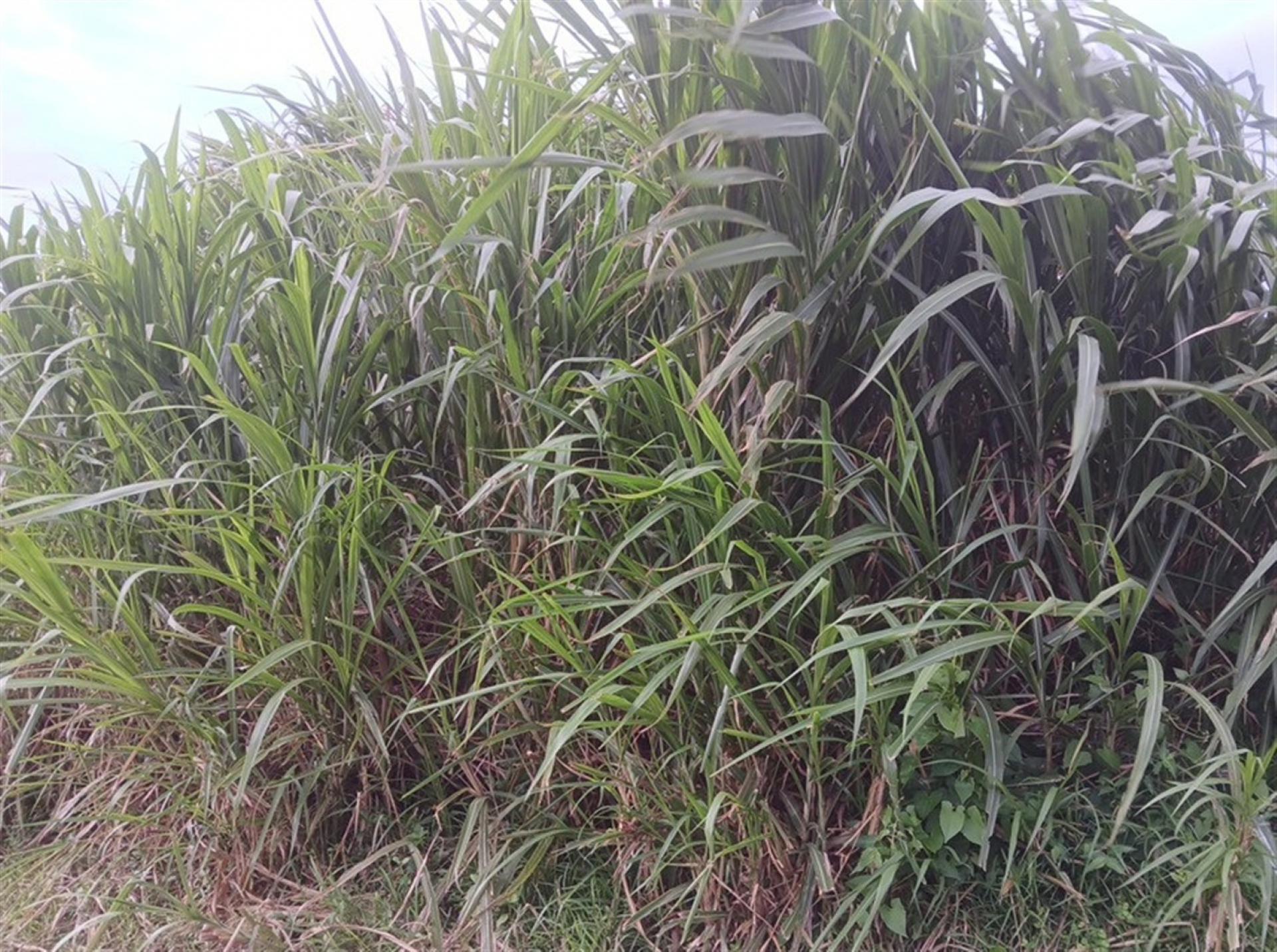 Front View of property in Port Edward
