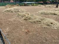  of property in Polokwane