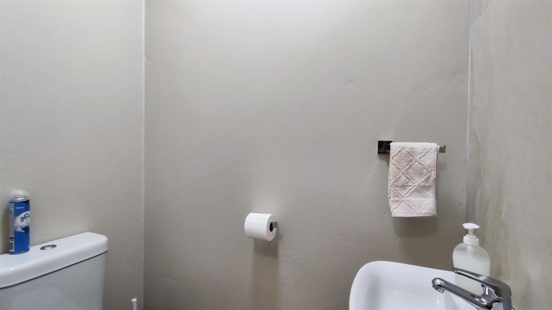 Guest Toilet - 4 square meters of property in Morehill