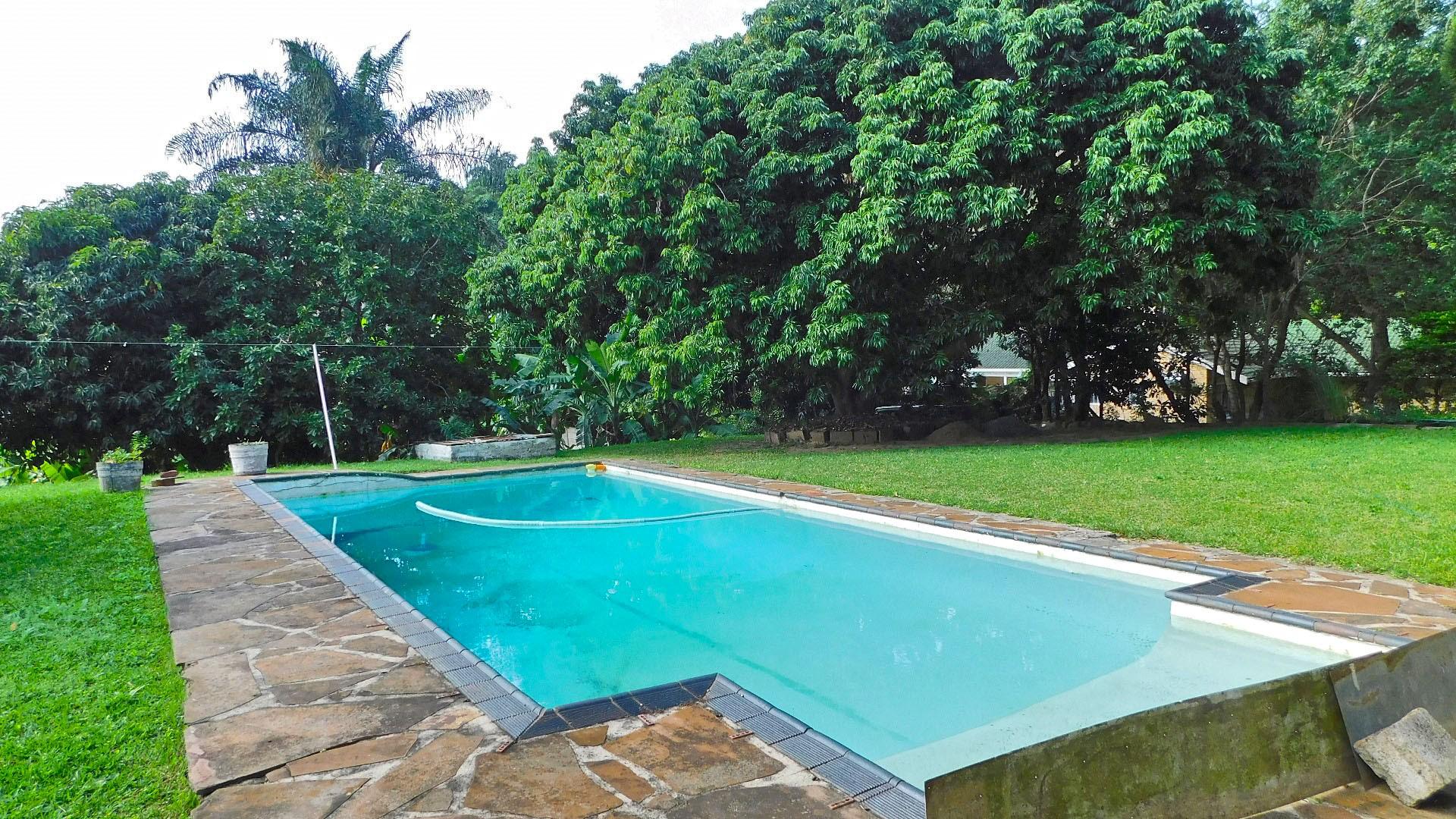 Backyard of property in Dawncrest