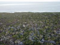  of property in Hartenbos
