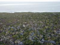  of property in Hartenbos
