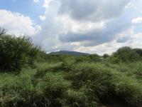  of property in Northam