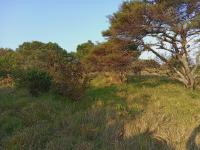  of property in Gonubie