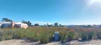  of property in Albertinia