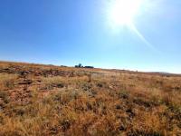  of property in Walkerville