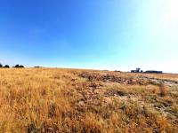  of property in Walkerville