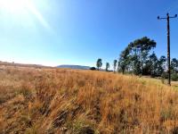  of property in Walkerville