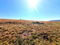  of property in Walkerville