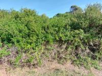  of property in Groot Brakrivier