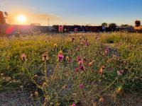 Land for Sale for sale in Bendor