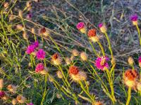  of property in Bendor