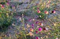  of property in Bendor