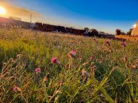  of property in Bendor