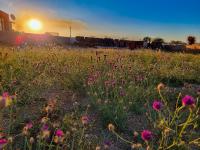  of property in Bendor