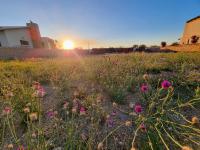  of property in Bendor
