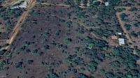  of property in Elmadal AH
