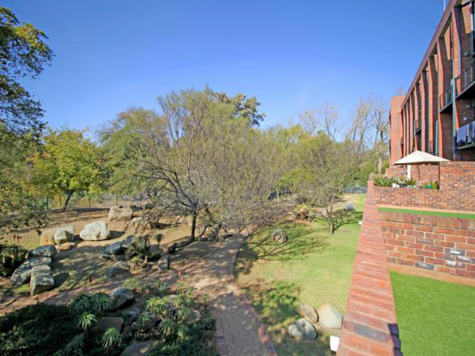 Backyard of property in Atholl Gardens