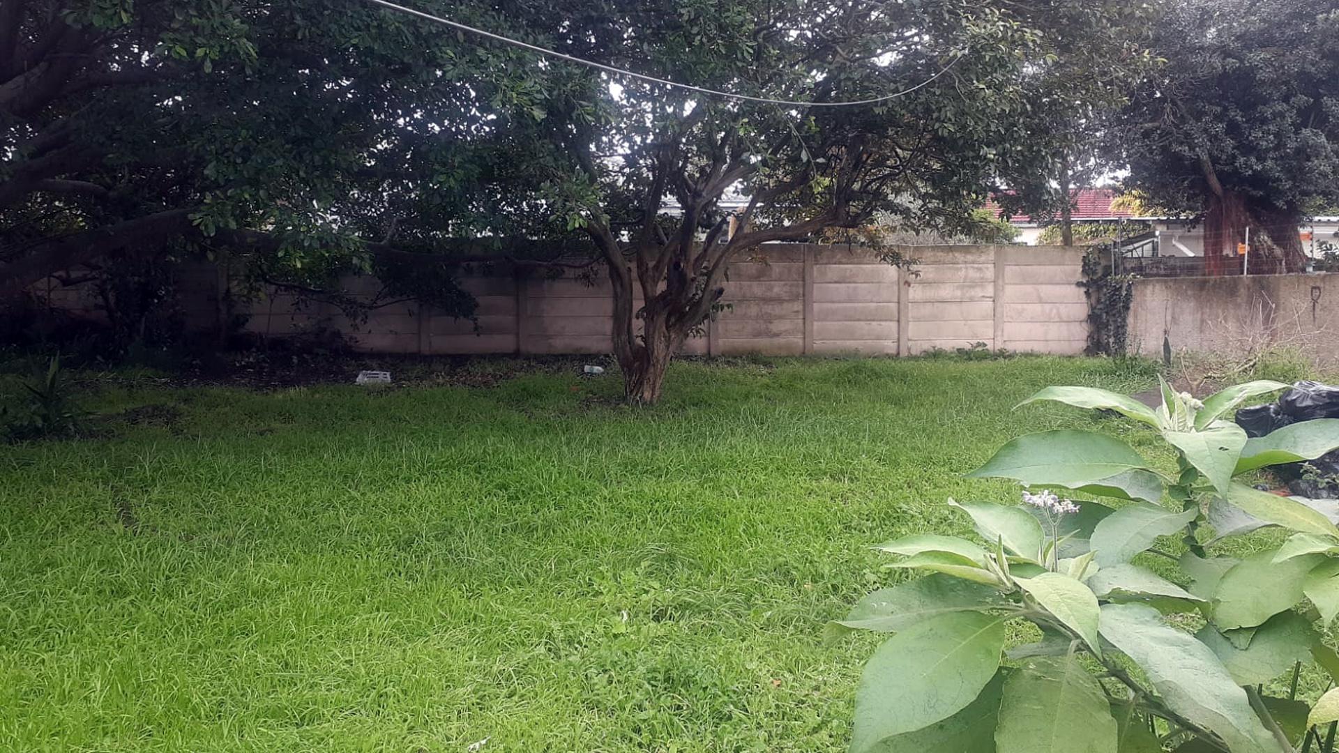 Backyard of property in Newton Park