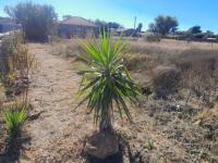  of property in Koster