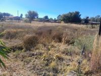  of property in Koster