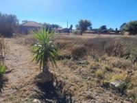  of property in Koster