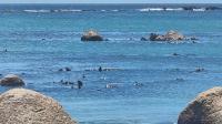  of property in St Helena Bay
