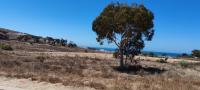 Land for Sale for sale in St Helena Bay