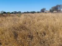 Land for Sale for sale in Polokwane