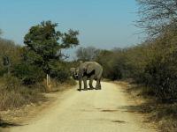 of property in Hoedspruit