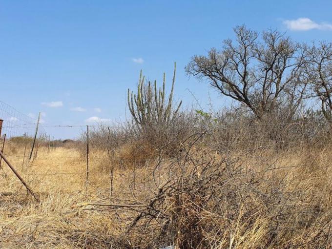 Smallholding for Sale For Sale in Polokwane - MR636903