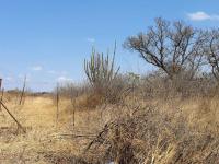 Smallholding for Sale for sale in Polokwane