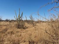  of property in Polokwane