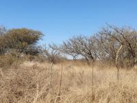  of property in Polokwane
