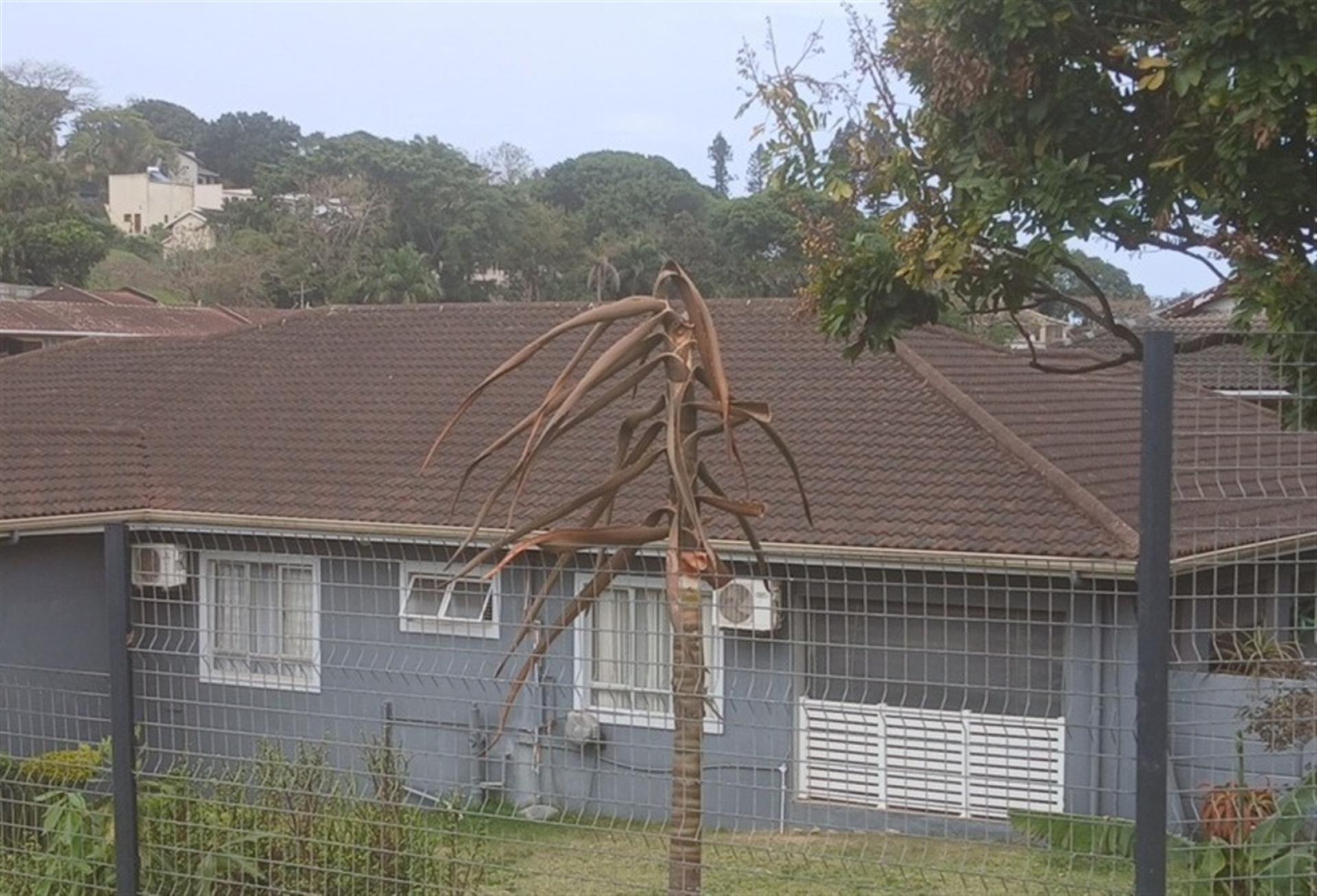 Front View of property in Westbrook