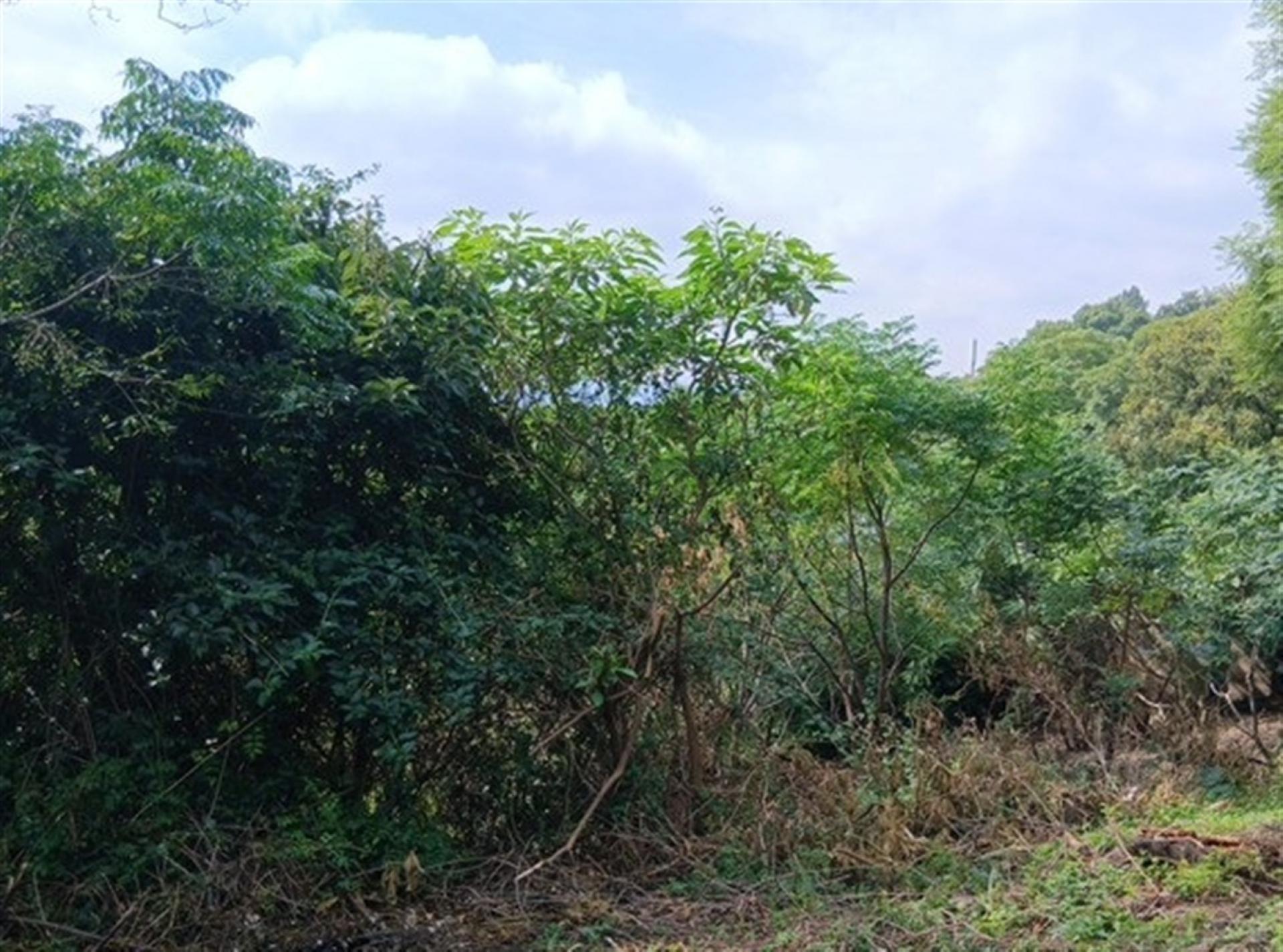 Front View of property in Northcliff