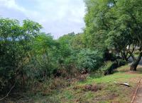 Front View of property in Northcliff