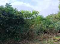 Front View of property in Northcliff