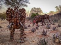  of property in Hoedspruit