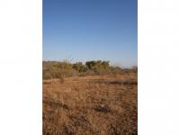  of property in Hoedspruit