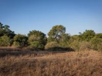  of property in Hoedspruit