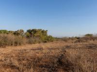  of property in Hoedspruit