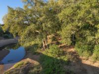  of property in Hoedspruit